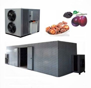 Qualität  High Efficiency Commercial Food Dehydrator Use Apricot Fruit Heat Pump Drying Machine usine